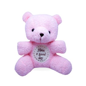 ตุ๊กตาหมีชมพู / Pink teddy bear905