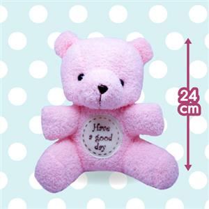 ตุ๊กตาหมีชมพู / Pink teddy bear